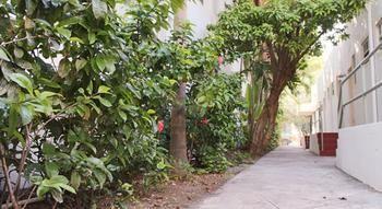 Hotel Casa Coloretta Miami Beach Eksteriør billede